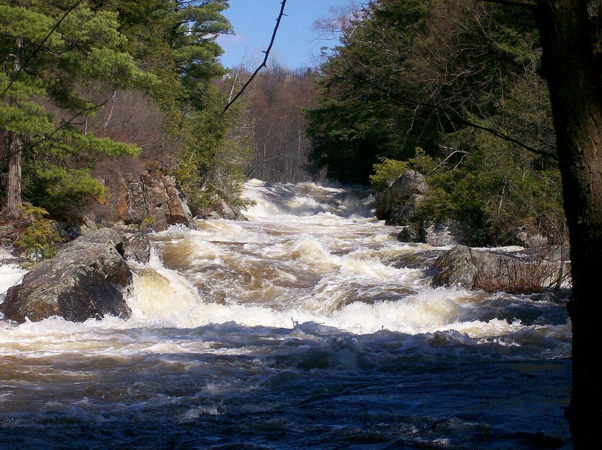 Lake Grove, NY - St. Lawrence County - Wikipedia